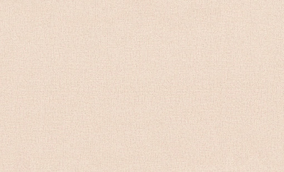 9305-25-раппорт