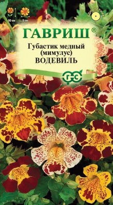 Изображение загружено