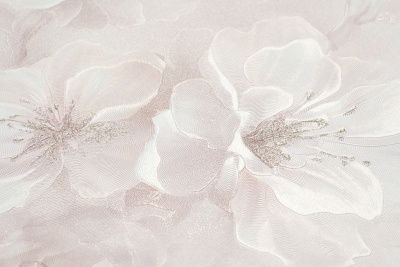 11420-05 Паулина (2)