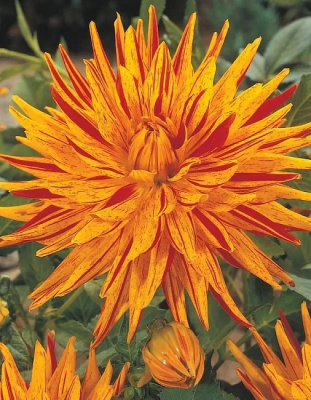 1ae73ac099bb11ee80ff0cc47a28e351_5718ef039d8211ee80ff0cc47a28e351.resize1