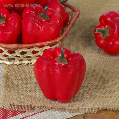 Изображение загружено