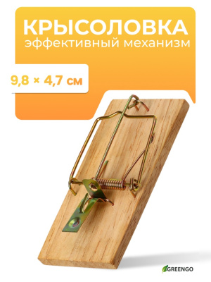 700 - 2026-02-05T114242.307