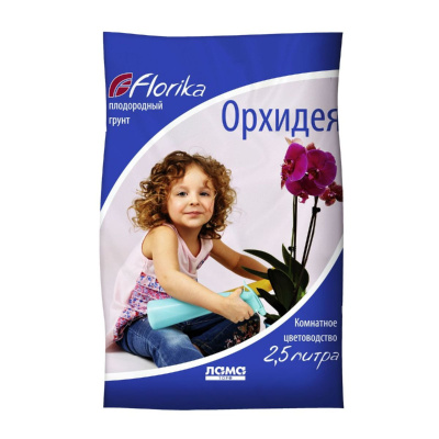 Изображение загружено