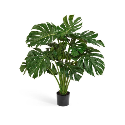 Изображение загружено