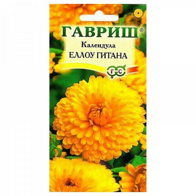 Изображение загружено