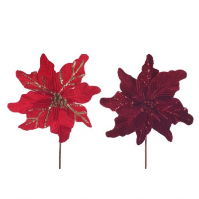 Изображение загружено