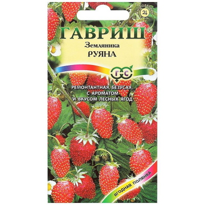 Изображение загружено