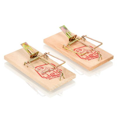 Изображение загружено